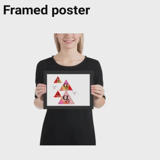 THE FRAMED POSTER 1.