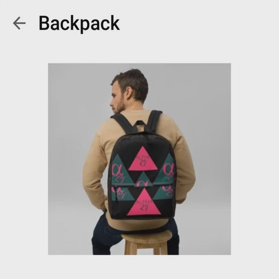THE BACKPACK 1