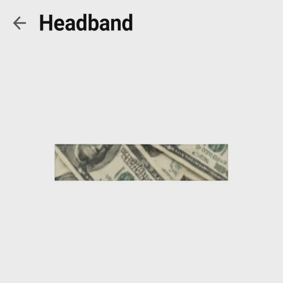 THE MONEY HEADBAND