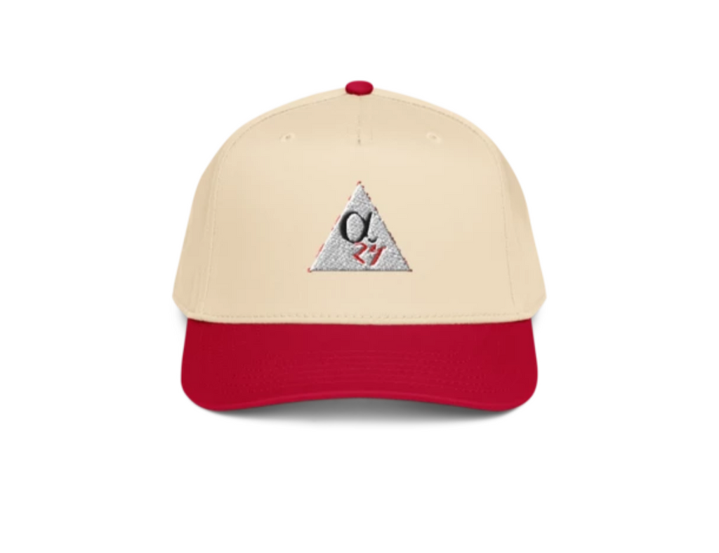 THE SNAP BACK