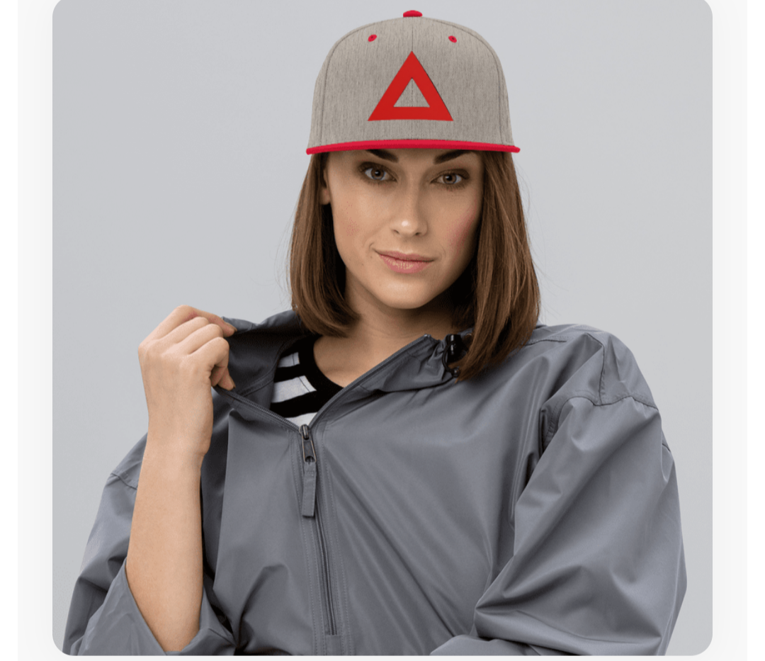 THE SNAP BACK