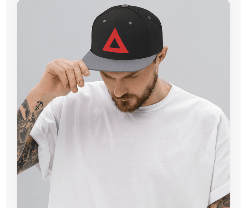 THE SNAP BACK