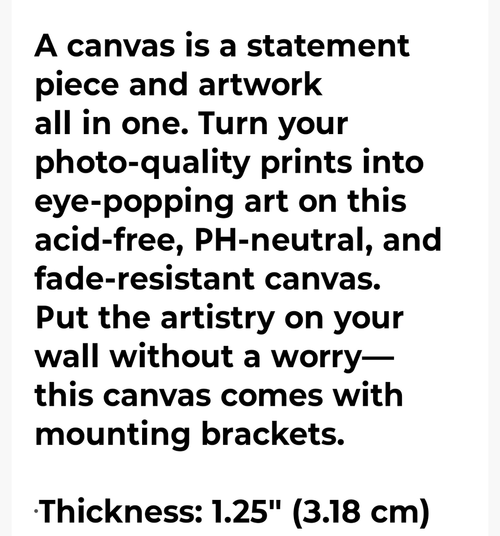 THE CANVAS ART 1