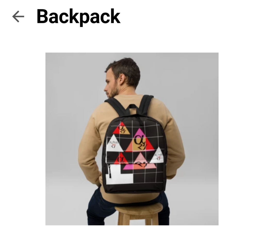 THE BACK PACK 1