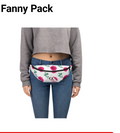 THE FLOWER POWER FANNY