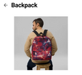 THE BACKPACK 1