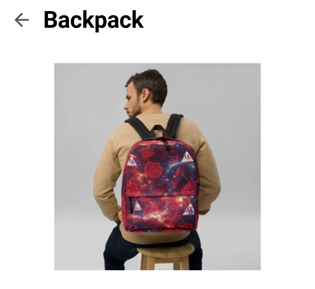 THE BACKPACK 1