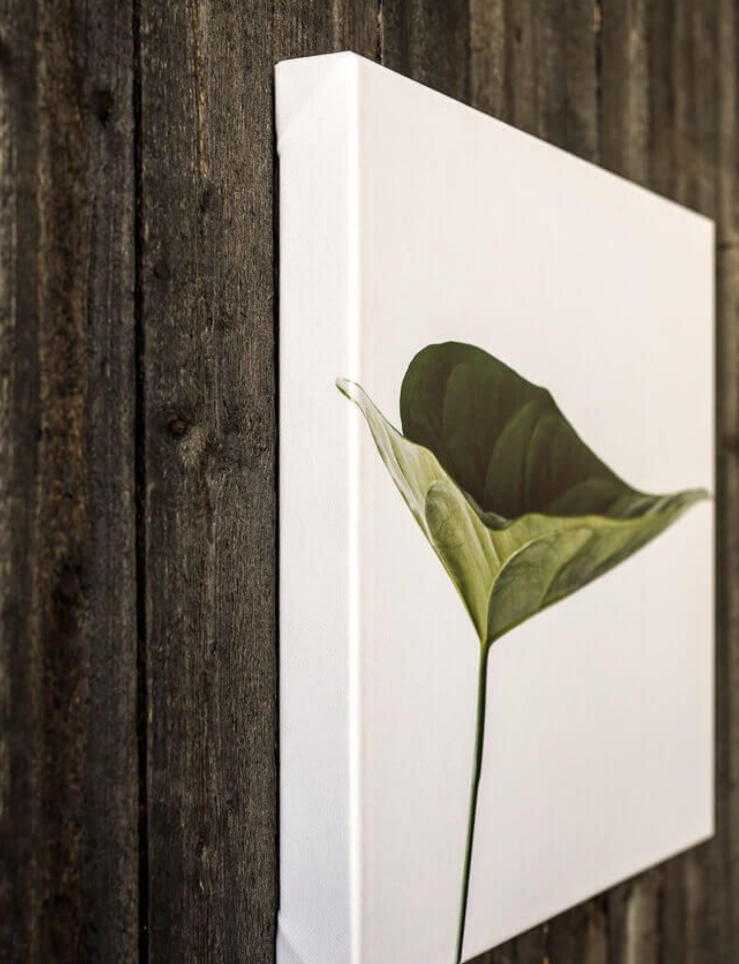THE CANVAS ART 1