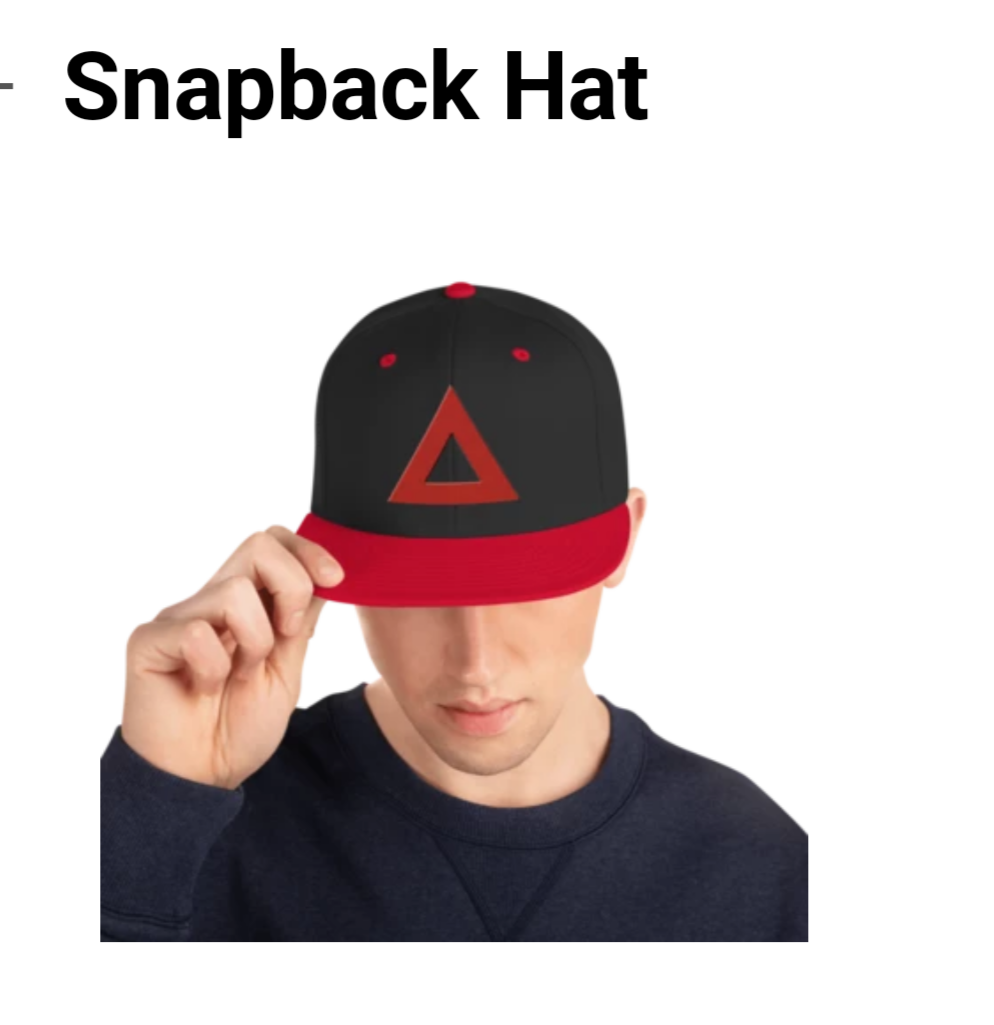 THE SNAP BACK