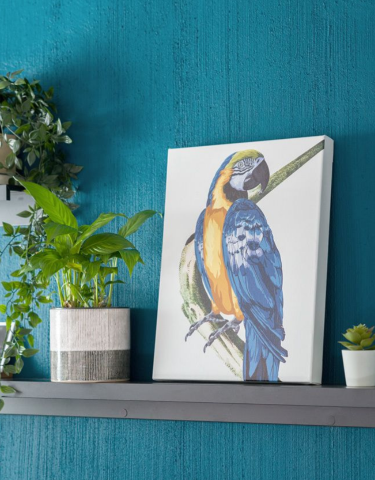 THE CANVAS ART 1
