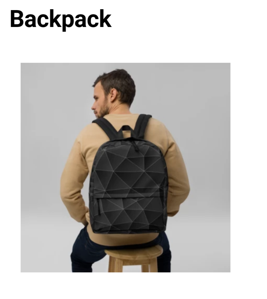 THE TRIANGLE BACKPACK